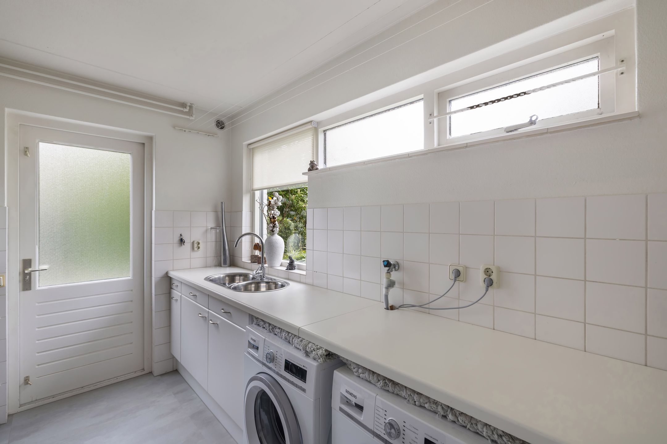 Foto 21 van Rietgans 2