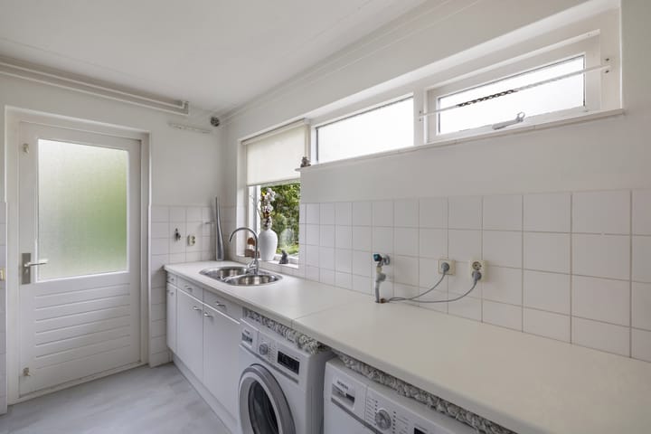 Foto 21 van Rietgans 2