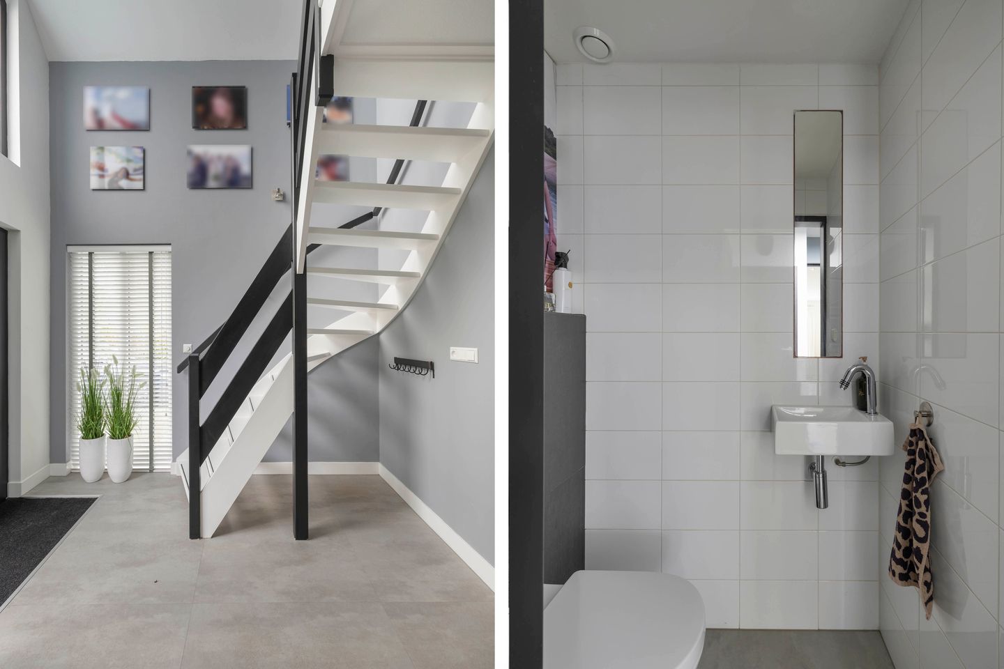 Foto 35 van Rietgans 2