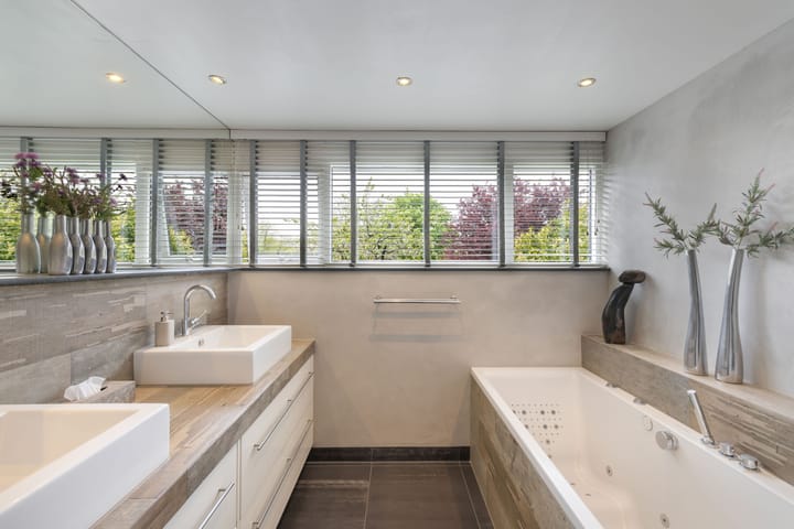 Foto 45 van Rietgans 2