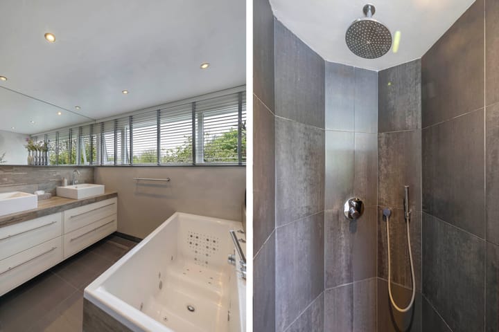 Foto 48 van Rietgans 2