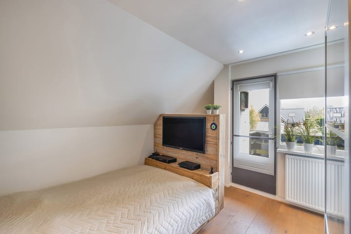 Foto 50 van Rietgans 2