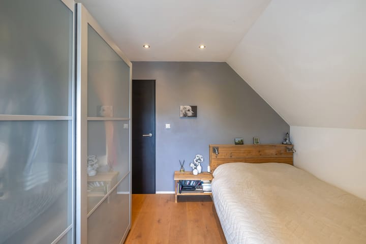 Foto 49 van Rietgans 2