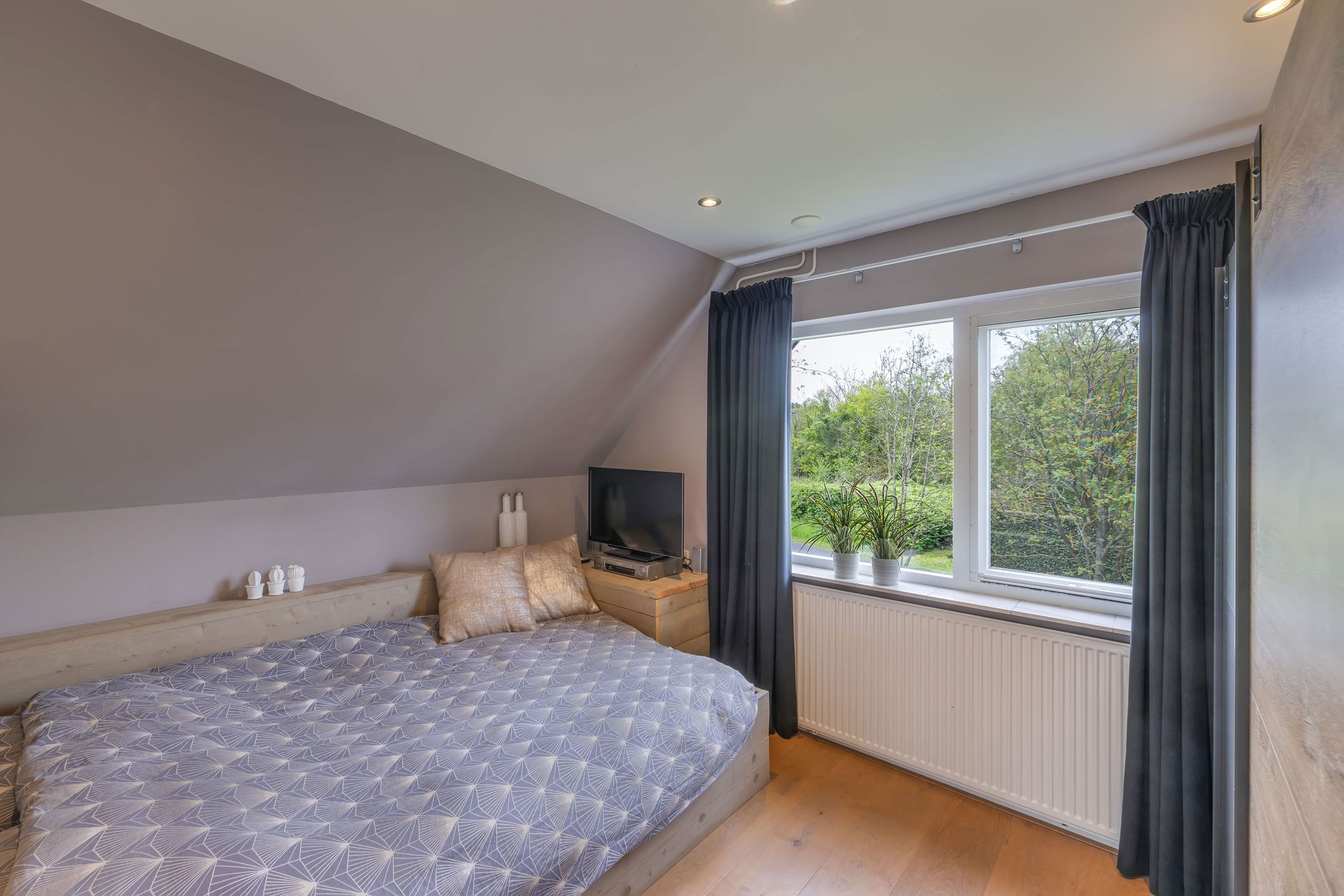 Foto 51 van Rietgans 2