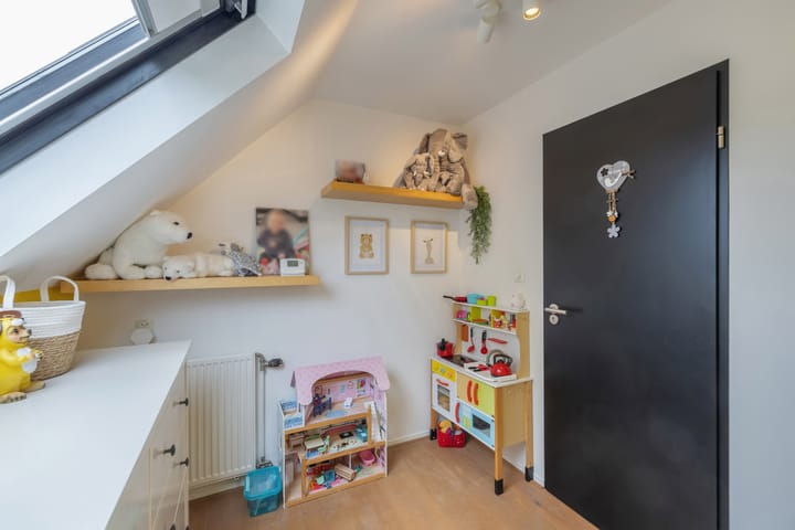 Foto 54 van Rietgans 2