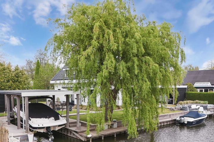 Foto 70 van Rietgans 2