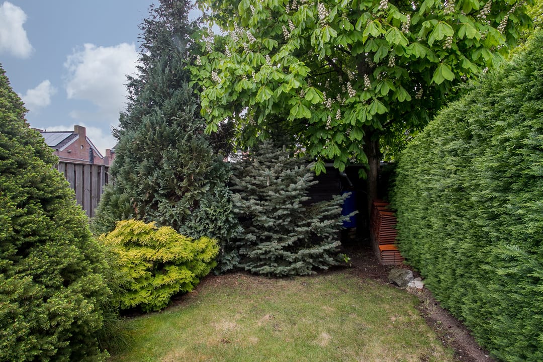 Foto 26 van Verrijnenstraat 23