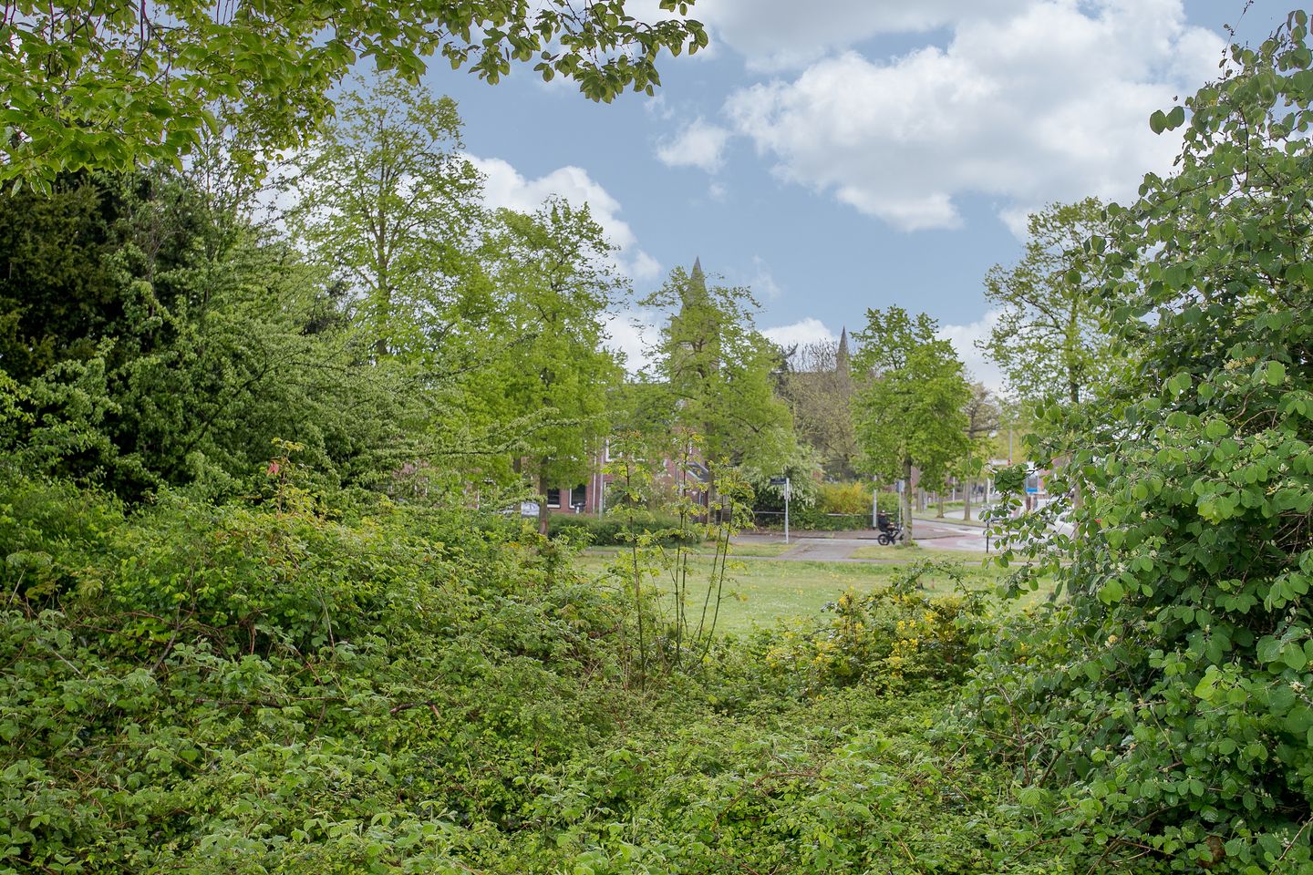 Foto 35 van Verrijnenstraat 23