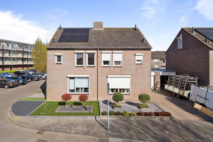 Foto 2 van Houtduif 16