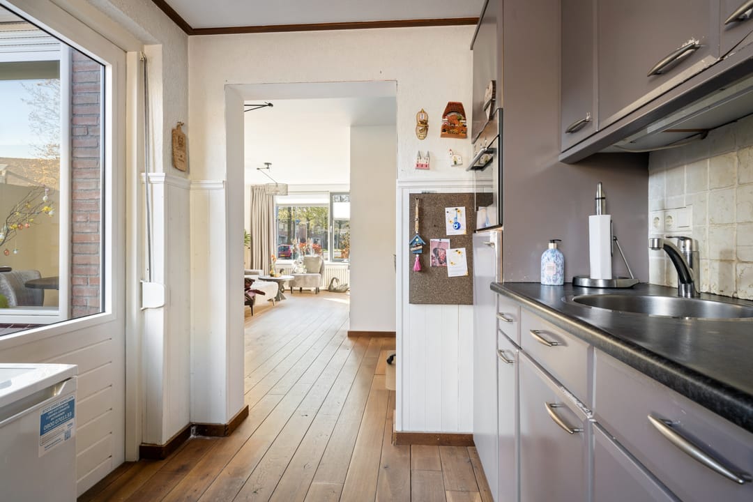 Foto 17 van Houtduif 16