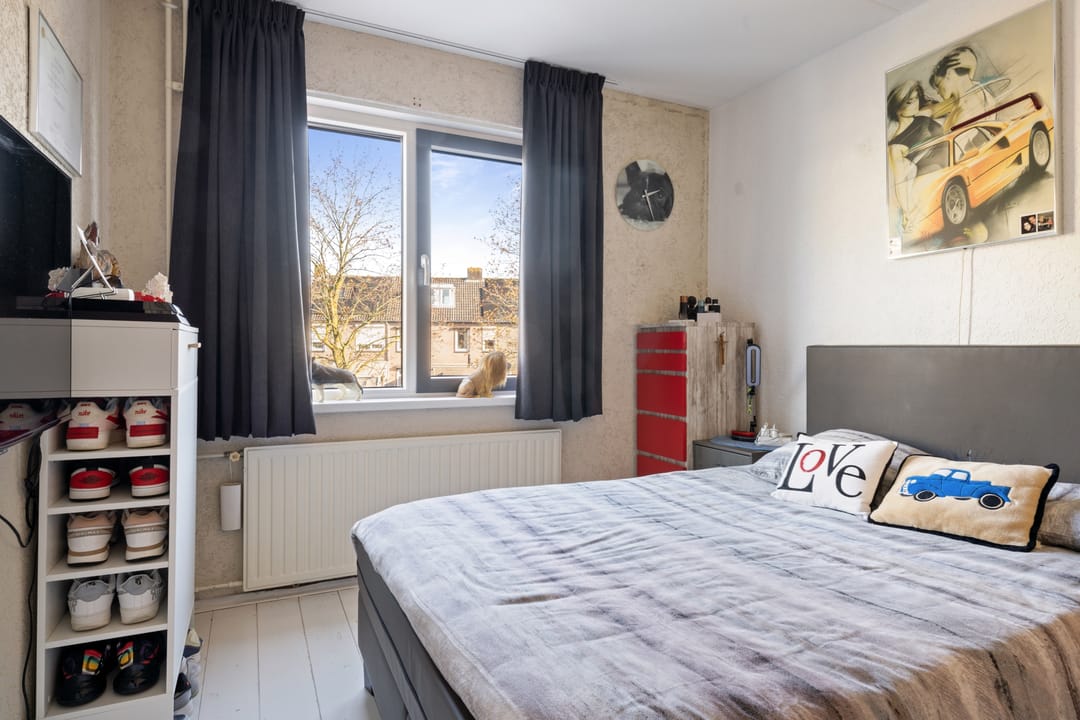 Foto 23 van Houtduif 16