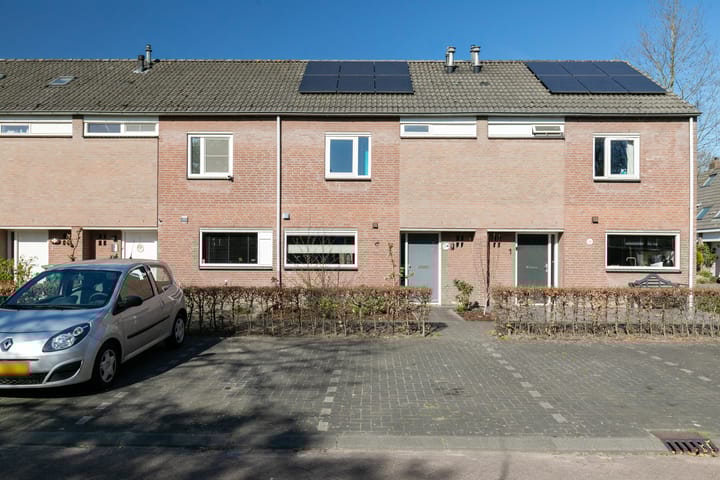 undefined main image