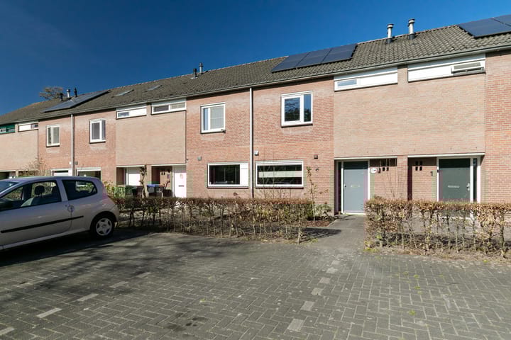 Foto 3 van De Tongelreep 2