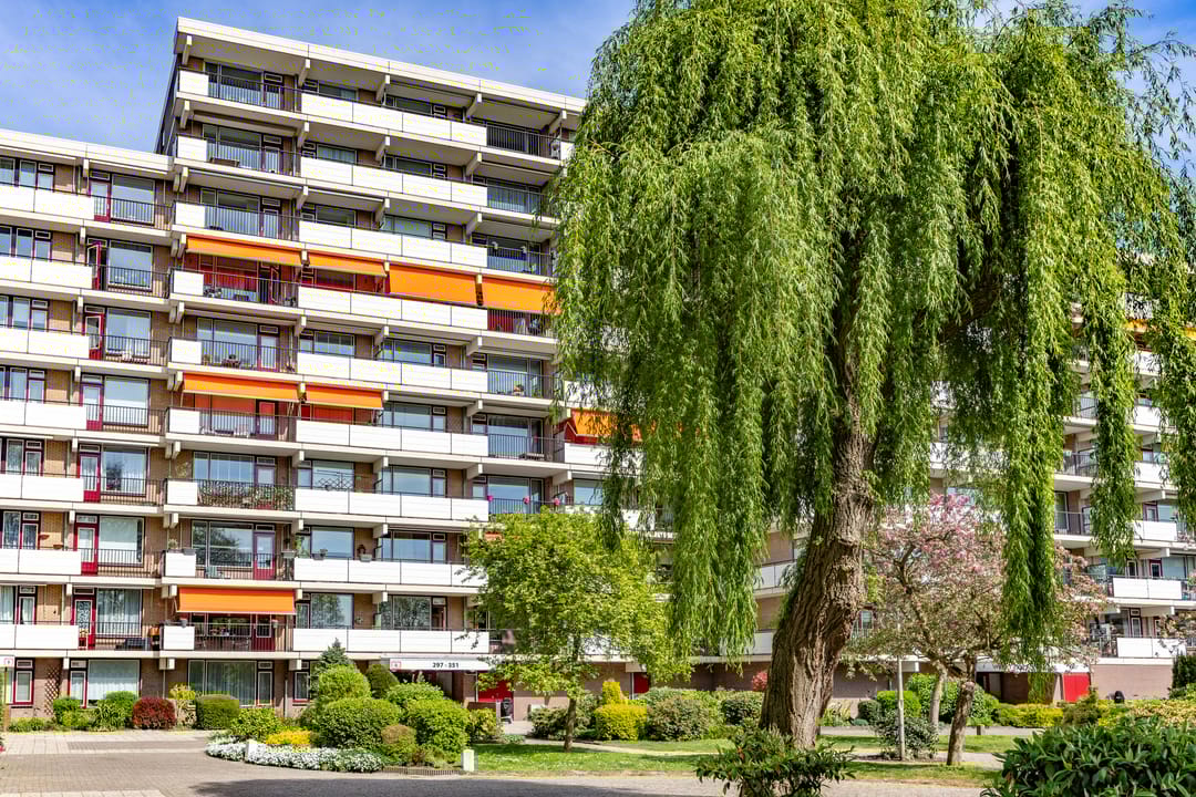 Foto 28 van Hammarskjöldlaan 323