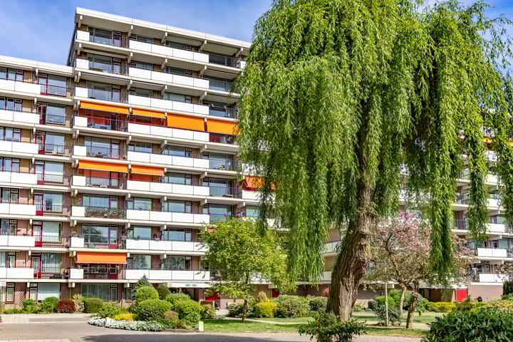 Foto 28 van Hammarskjöldlaan 323