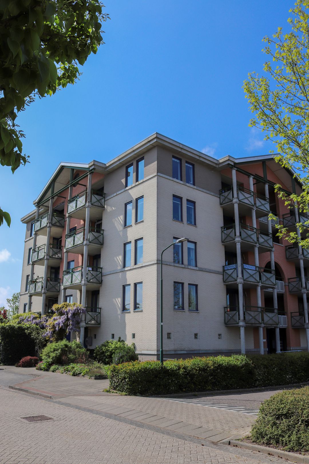 Foto 2 van Romulus 136