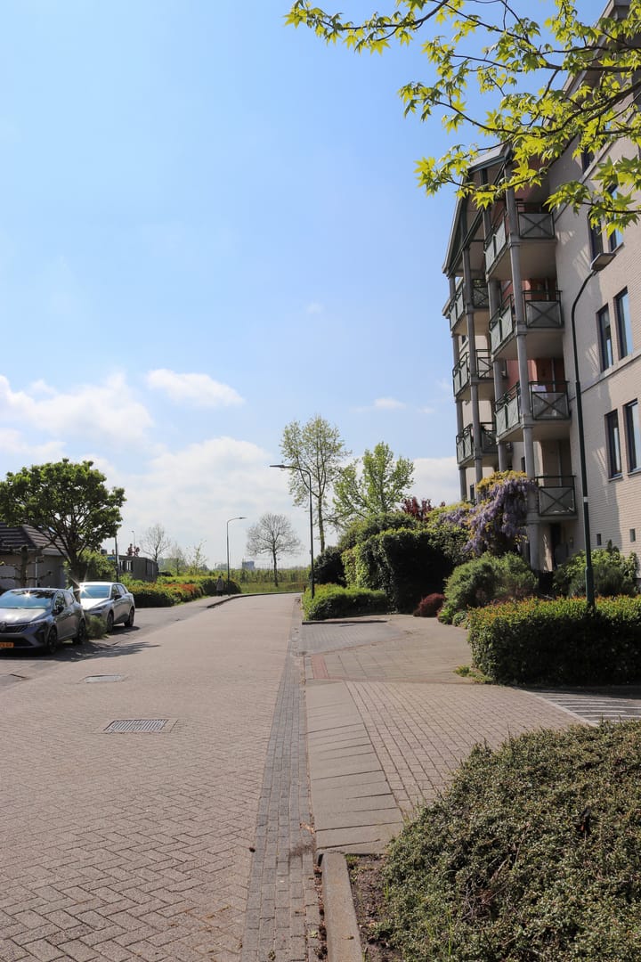 Foto 4 van Romulus 136