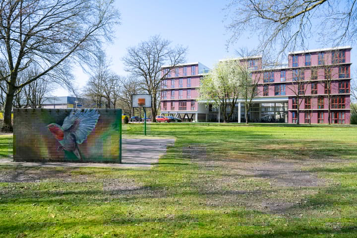 Foto 26 van Sterkenburg 53-33