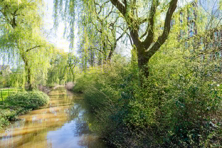 Foto 27 van Sterkenburg 53-33