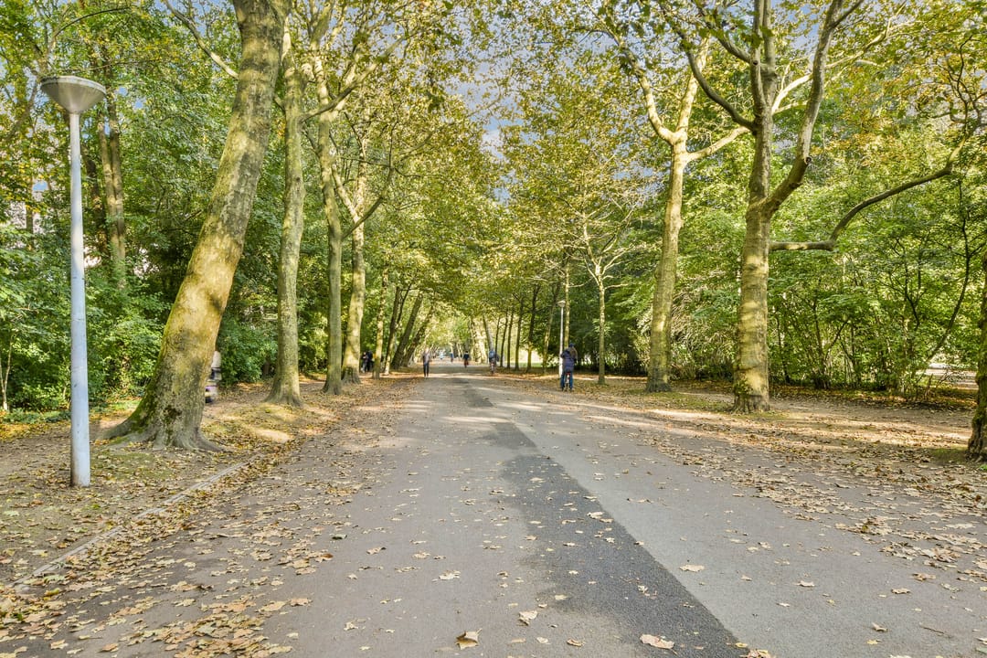 Foto 28 van Zocherstraat 63-4