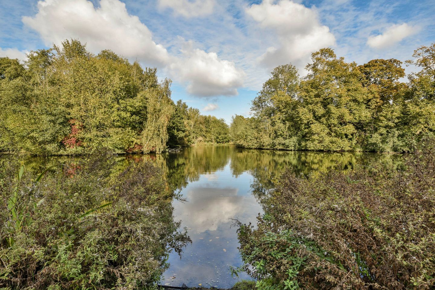 Foto 29 van Zocherstraat 63-4