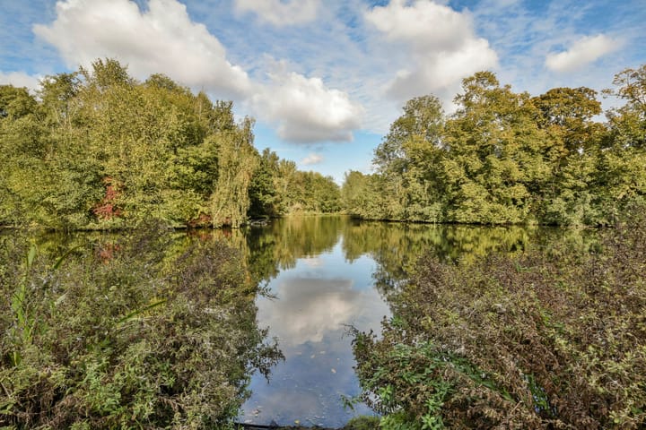 Foto 29 van Zocherstraat 63-4