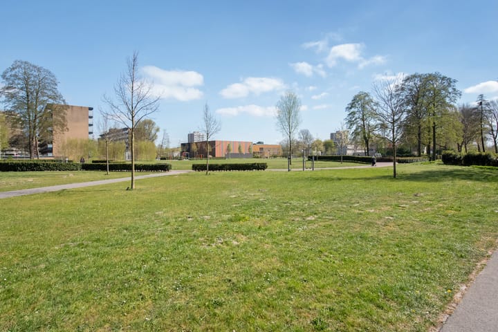 Foto 19 van Dunantstraat 392