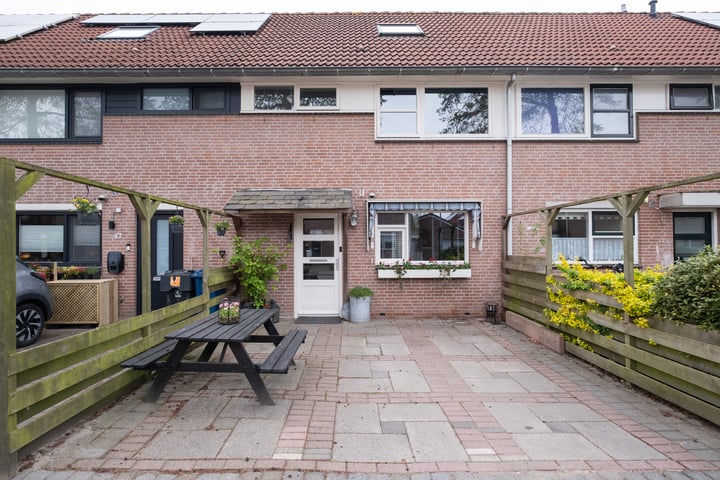 Suze Groenewegstraat 49