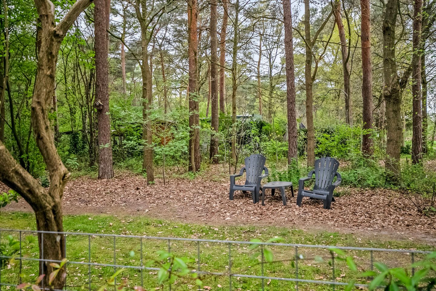 Photo 40 of Flaasdijk 1-412