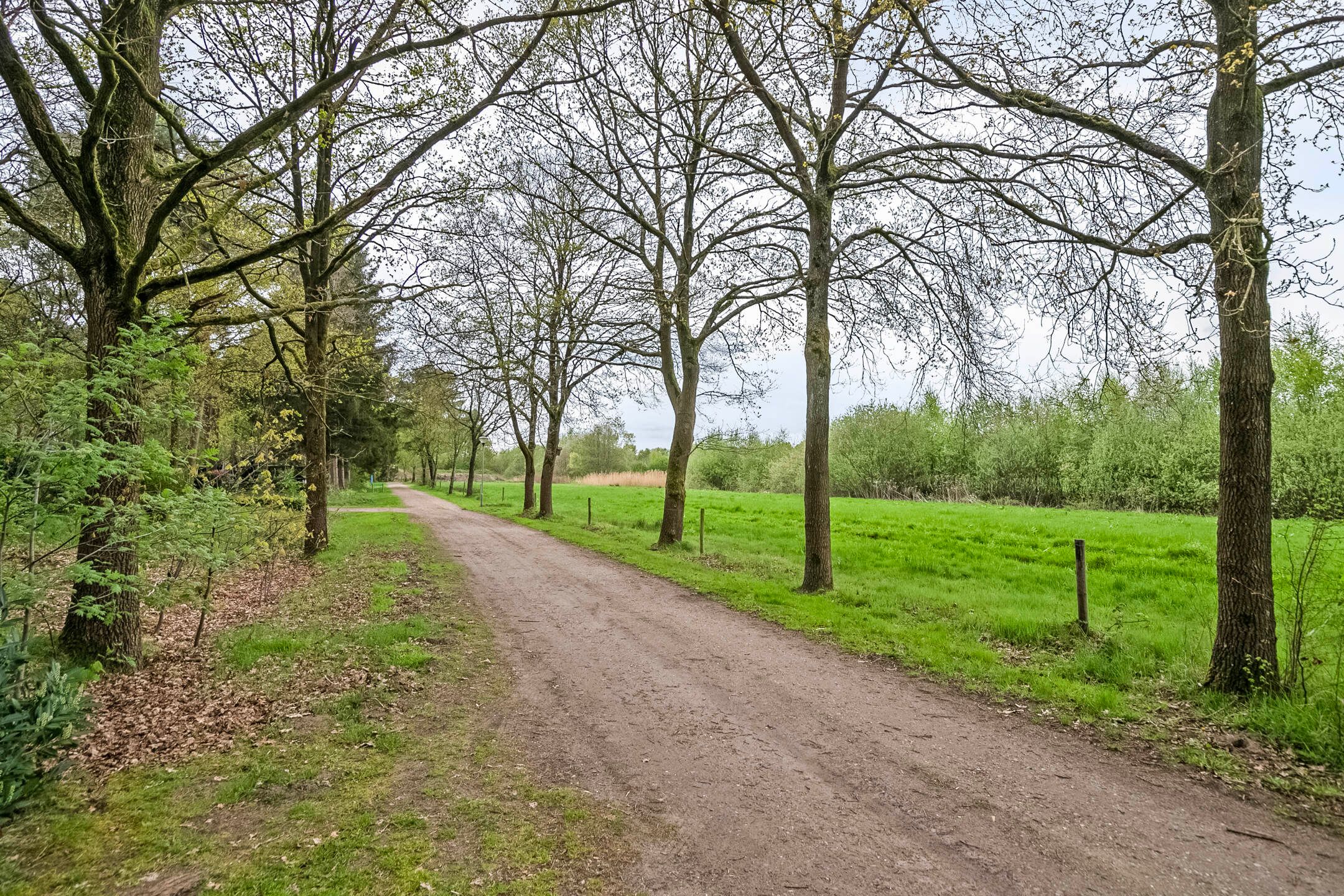 Photo 48 of Flaasdijk 1-412