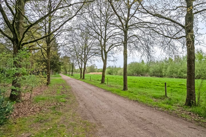 Photo 48 of Flaasdijk 1-412