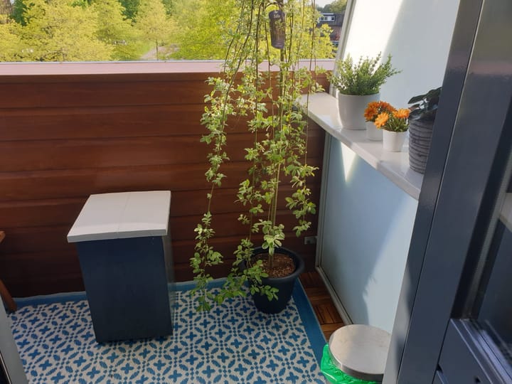 Foto 14 van Gervenhof 80