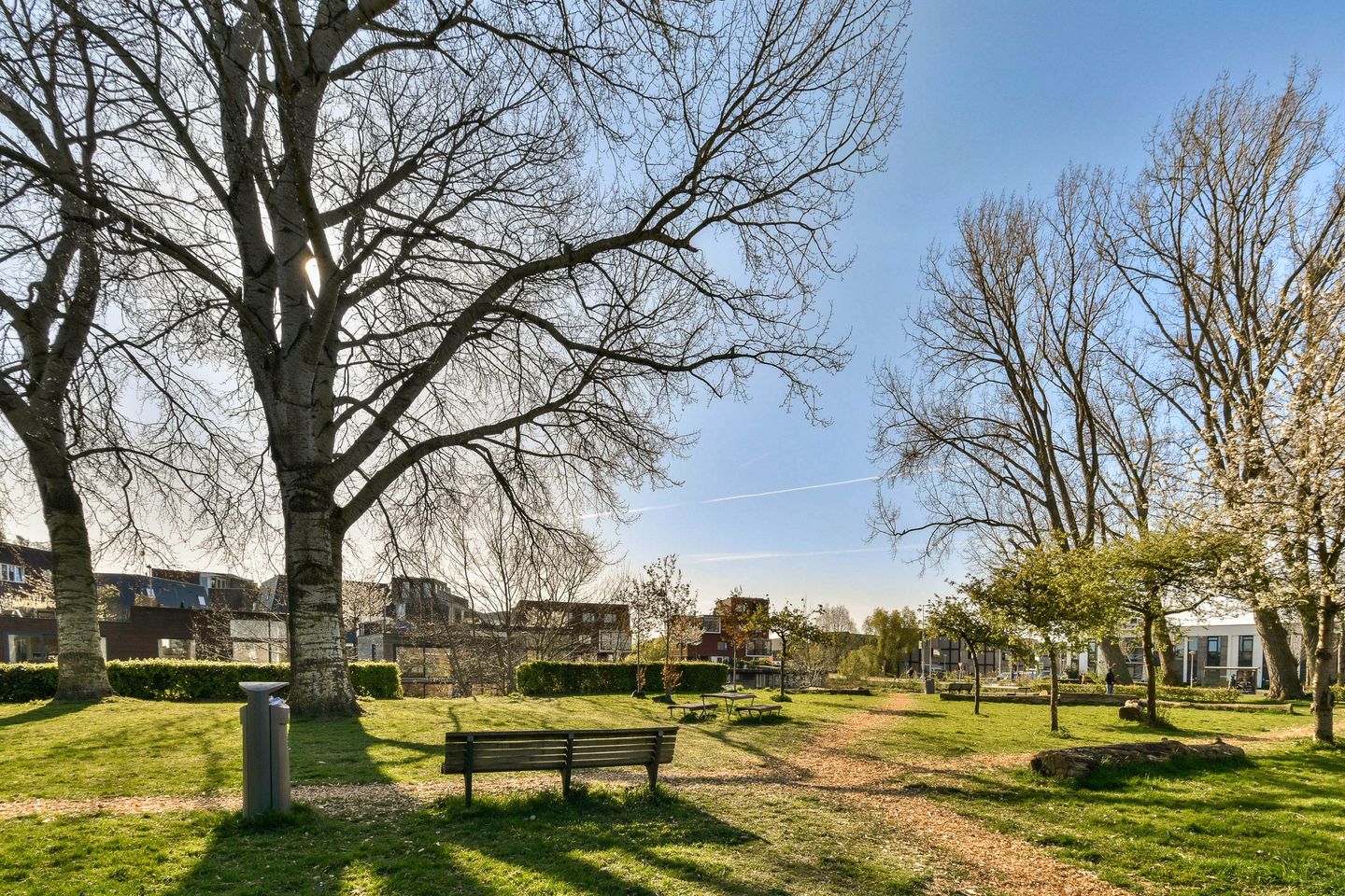 Foto 19 van Mandarijnenstraat 14-1