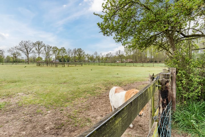 Foto 75 van Kreuleweg 1