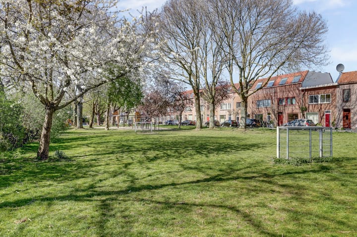 Photo 22 of Laan van Nieuw-Guinea 73-BSA