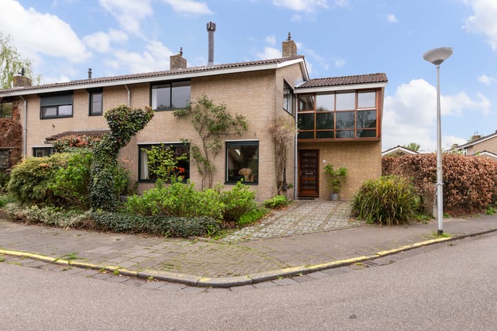 Foto 1 van Zwenkgras 28