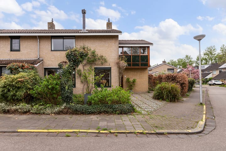 Foto 5 van Zwenkgras 28