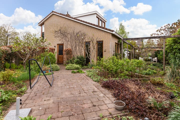 Foto 29 van Zwenkgras 28