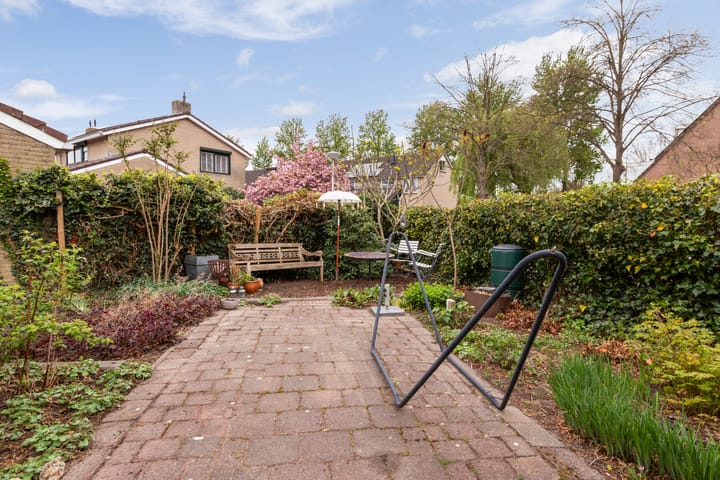 Foto 30 van Zwenkgras 28