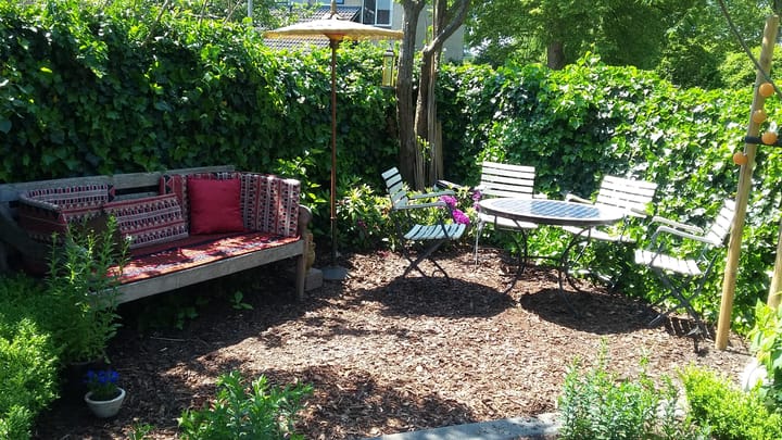 Foto 32 van Zwenkgras 28