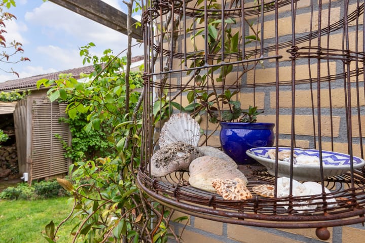 Foto 34 van Zwenkgras 28