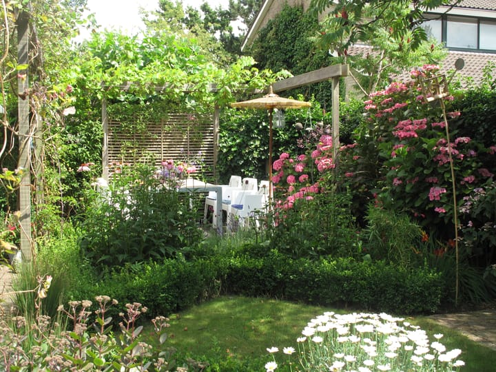 Foto 35 van Zwenkgras 28