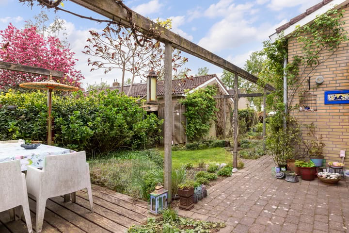 Foto 36 van Zwenkgras 28