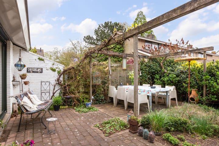 Foto 37 van Zwenkgras 28