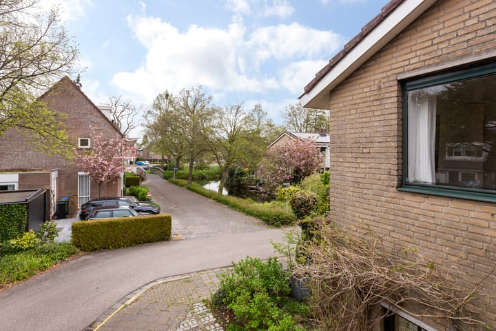 Foto 52 van Zwenkgras 28