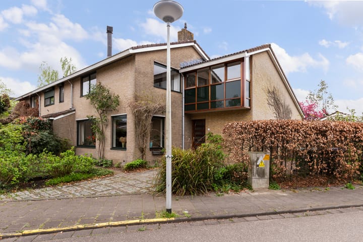 Foto 56 van Zwenkgras 28