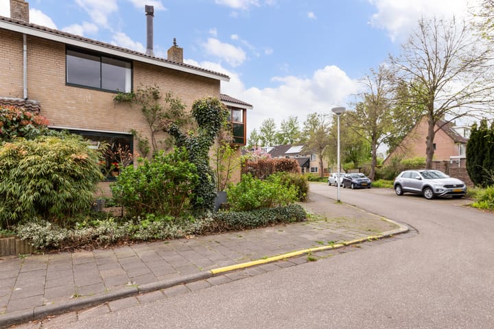 Foto 57 van Zwenkgras 28