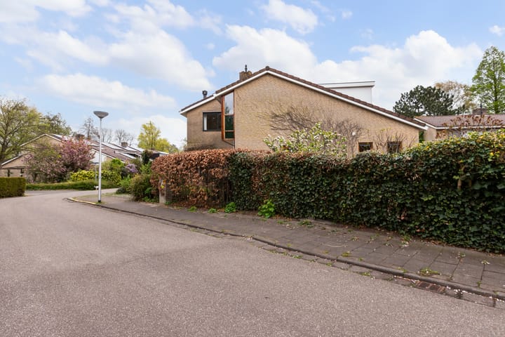 Foto 58 van Zwenkgras 28