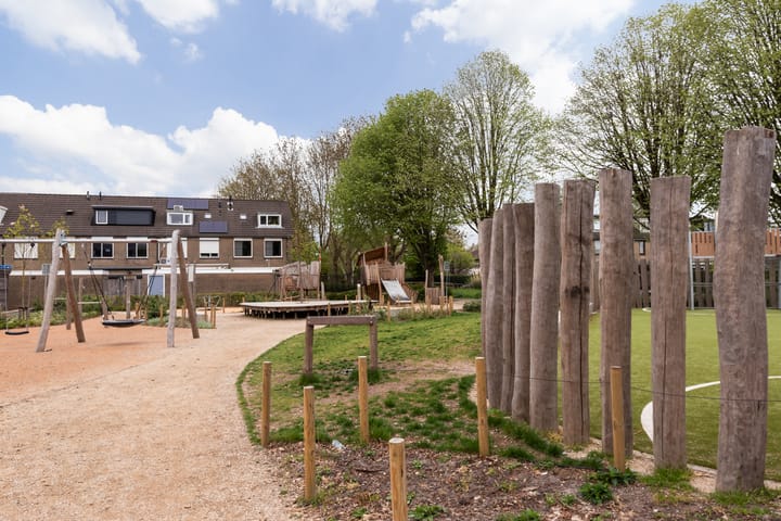 Foto 59 van Zwenkgras 28