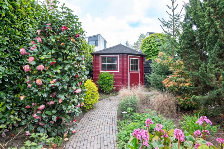 Foto 17 van Anna Bijnsring 252